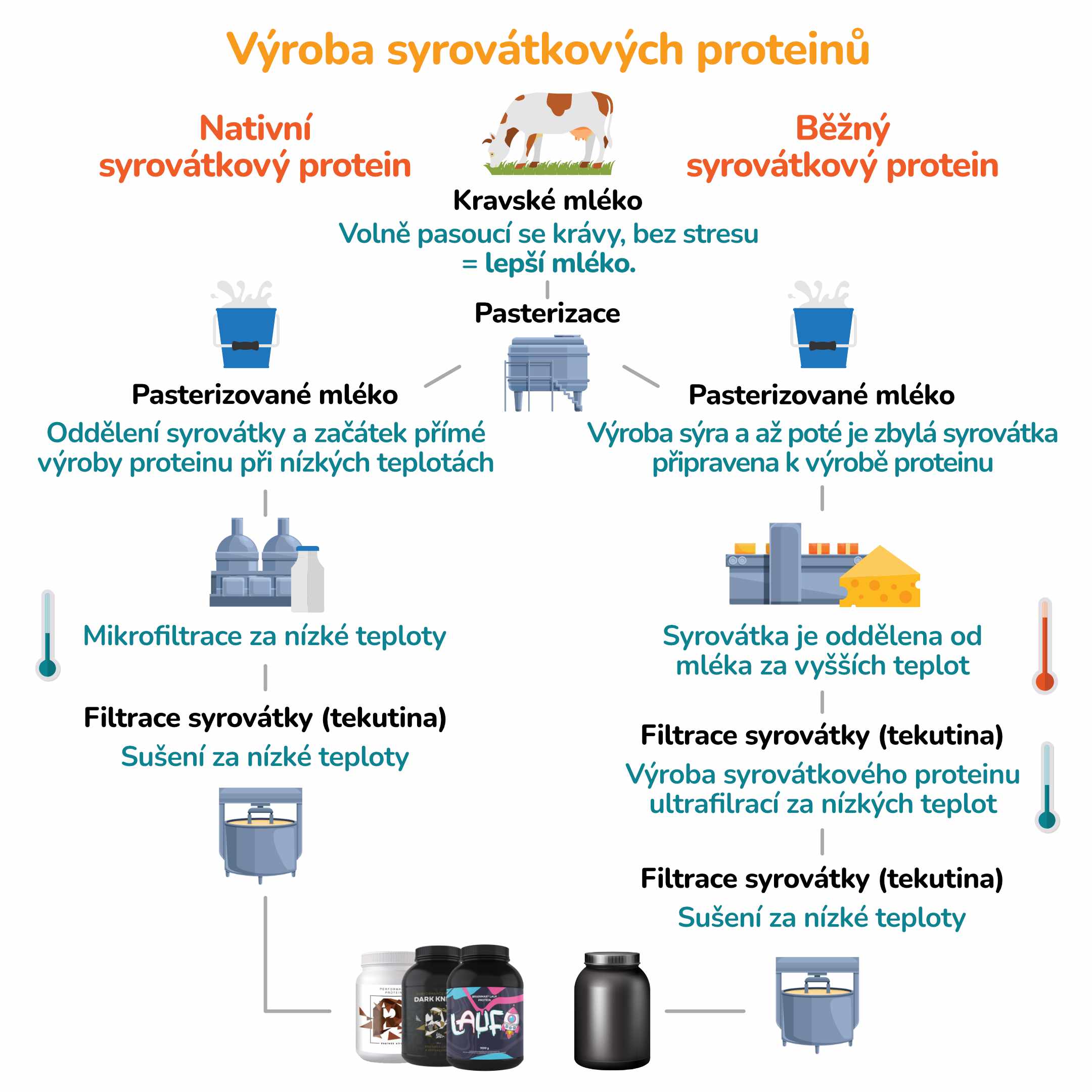 Vyroba proteinu_3 (2)